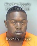 Michael Reynolds Info, Photos, Data, and More About Michael Reynolds / Michael Reynolds Tampa Area