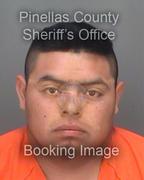 Delfino Garcia-Cahuex Info, Photos, Data, and More About Delfino Garcia-Cahuex / Delfino Garcia-Cahuex Tampa Area