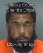 Cameron Mckenzie Info, Photos, Data, and More About Cameron Mckenzie / Cameron Mckenzie Tampa Area