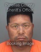 Francisco Ciliaramirez Info, Photos, Data, and More About Francisco Ciliaramirez / Francisco Ciliaramirez Tampa Area