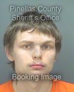 James Allison Info, Photos, Data, and More About James Allison / James Allison Tampa Area