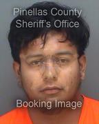Alexis Gonzales Info, Photos, Data, and More About Alexis Gonzales / Alexis Gonzales Tampa Area
