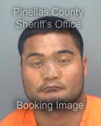 Ainsworth Kuor Info, Photos, Data, and More About Ainsworth Kuor / Ainsworth Kuor Tampa Area