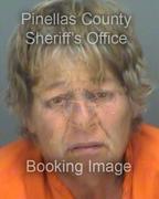 Susanne Staack Info, Photos, Data, and More About Susanne Staack / Susanne Staack Tampa Area