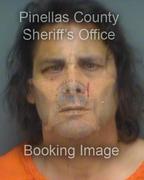 Jenny Brandt Info, Photos, Data, and More About Jenny Brandt / Jenny Brandt Tampa Area