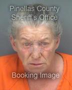 Valerie Bourdiaux Info, Photos, Data, and More About Valerie Bourdiaux / Valerie Bourdiaux Tampa Area