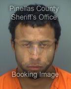 Ryan Daniel Info, Photos, Data, and More About Ryan Daniel / Ryan Daniel Tampa Area