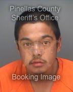 Brandon Macyowsky Info, Photos, Data, and More About Brandon Macyowsky / Brandon Macyowsky Tampa Area