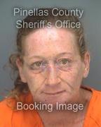 Tammy Flynn Info, Photos, Data, and More About Tammy Flynn / Tammy Flynn Tampa Area