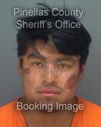 Walter Mendez Info, Photos, Data, and More About Walter Mendez / Walter Mendez Tampa Area