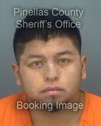 Juan Hernandez Info, Photos, Data, and More About Juan Hernandez / Juan Hernandez Tampa Area