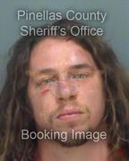 Shay Tracy Info, Photos, Data, and More About Shay Tracy / Shay Tracy Tampa Area