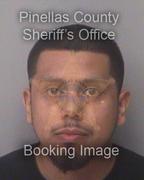 Luis Pacheco Info, Photos, Data, and More About Luis Pacheco / Luis Pacheco Tampa Area