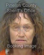 Michael Balog Info, Photos, Data, and More About Michael Balog / Michael Balog Tampa Area