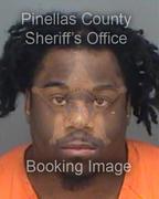 Patrick Graham Info, Photos, Data, and More About Patrick Graham / Patrick Graham Tampa Area