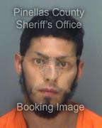 Mark Acevedo Info, Photos, Data, and More About Mark Acevedo / Mark Acevedo Tampa Area