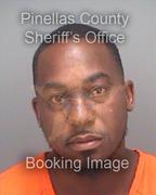 Christopher Starling Info, Photos, Data, and More About Christopher Starling / Christopher Starling Tampa Area