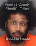 Timothy Salzano Info, Photos, Data, and More About Timothy Salzano / Timothy Salzano Tampa Area