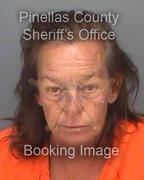 Lisa Harris Info, Photos, Data, and More About Lisa Harris / Lisa Harris Tampa Area