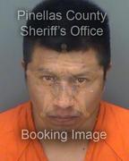 Francisco Flores Martinez Info, Photos, Data, and More About Francisco Flores Martinez / Francisco Flores Martinez Tampa Area
