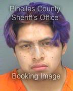 William Mayepaloma Info, Photos, Data, and More About William Mayepaloma / William Mayepaloma Tampa Area