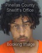 Logan Thomas Info, Photos, Data, and More About Logan Thomas / Logan Thomas Tampa Area