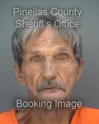 Michael Lauro Info, Photos, Data, and More About Michael Lauro / Michael Lauro Tampa Area