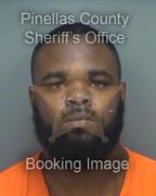 Yhante Webb Info, Photos, Data, and More About Yhante Webb / Yhante Webb Tampa Area
