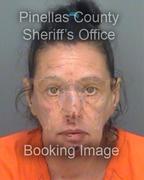 Tammy Triola Info, Photos, Data, and More About Tammy Triola / Tammy Triola Tampa Area