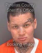 Angelica Sierra-Campe Info, Photos, Data, and More About Angelica Sierra-Campe / Angelica Sierra-Campe Tampa Area