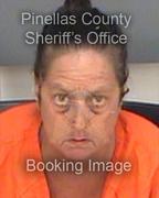 Laura Driscall Info, Photos, Data, and More About Laura Driscall / Laura Driscall Tampa Area