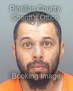 David Cox Info, Photos, Data, and More About David Cox / David Cox Tampa Area