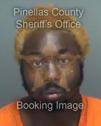 Christopher Arnold Info, Photos, Data, and More About Christopher Arnold / Christopher Arnold Tampa Area