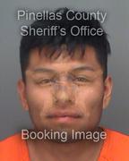 Esteban Hernandez Info, Photos, Data, and More About Esteban Hernandez / Esteban Hernandez Tampa Area