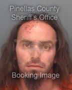 Vincent Rodriguez Info, Photos, Data, and More About Vincent Rodriguez / Vincent Rodriguez Tampa Area
