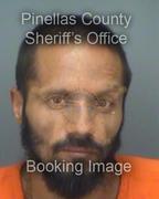 Anthony Adorno Info, Photos, Data, and More About Anthony Adorno / Anthony Adorno Tampa Area