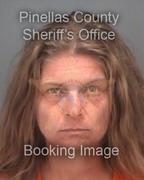 Amy Smith Info, Photos, Data, and More About Amy Smith / Amy Smith Tampa Area