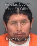 Carlos Alvarez-Roque Info, Photos, Data, and More About Carlos Alvarez-Roque / Carlos Alvarez-Roque Tampa Area