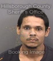Justin Mitchell Info, Photos, Data, and More About Justin Mitchell / Justin Mitchell Tampa Area
