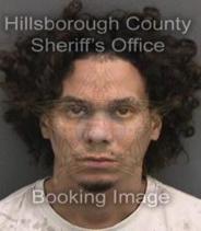 Ivan Morel Info, Photos, Data, and More About Ivan Morel / Ivan Morel Tampa Area