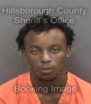 Wallace Williams Info, Photos, Data, and More About Wallace Williams / Wallace Williams Tampa Area