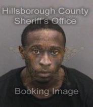 Anquan Rodgers Info, Photos, Data, and More About Anquan Rodgers / Anquan Rodgers Tampa Area