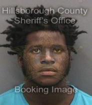 Christian Martin Info, Photos, Data, and More About Christian Martin / Christian Martin Tampa Area