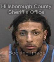 Steven Harrison Info, Photos, Data, and More About Steven Harrison / Steven Harrison Tampa Area