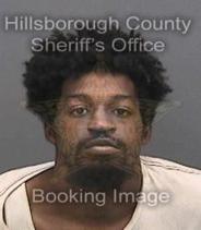 Kevin Perry Info, Photos, Data, and More About Kevin Perry / Kevin Perry Tampa Area