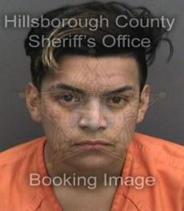 Jose Castro Info, Photos, Data, and More About Jose Castro / Jose Castro Tampa Area