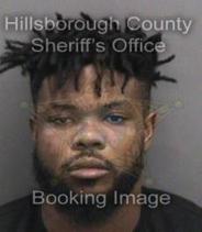 Wayne Stewart Info, Photos, Data, and More About Wayne Stewart / Wayne Stewart Tampa Area