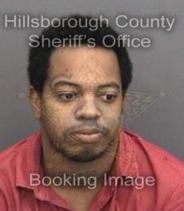Cimino Mclowery Info, Photos, Data, and More About Cimino Mclowery / Cimino Mclowery Tampa Area
