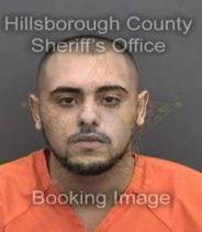 Billie Hamilton Info, Photos, Data, and More About Billie Hamilton / Billie Hamilton Tampa Area