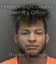 Hector Monteliergarcia Info, Photos, Data, and More About Hector Monteliergarcia / Hector Monteliergarcia Tampa Area